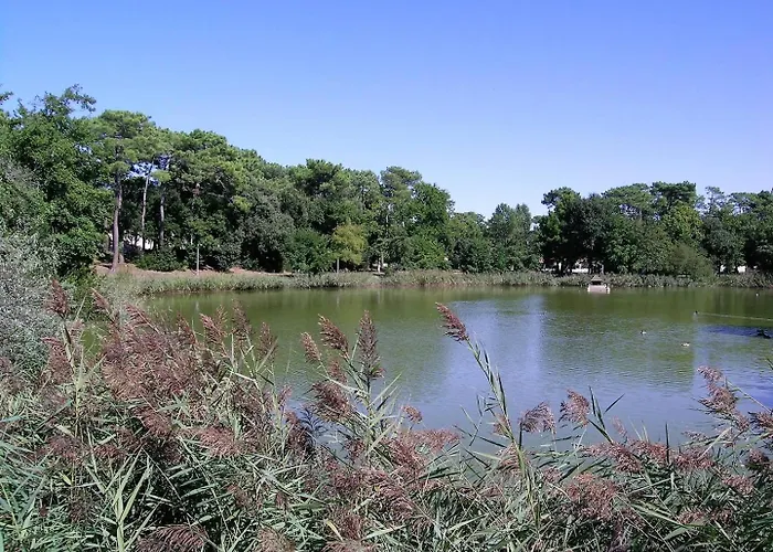 La Palmyre - Mitoyenne Dans Les Maisons Du - Terrasse Privative *