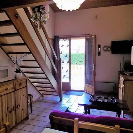 La Palmyre - Mitoyenne Dans Les Maisons Du - Terrasse Privative