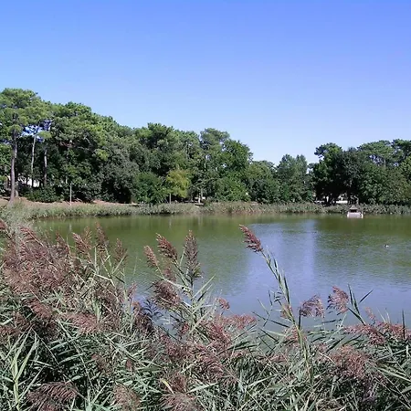 La Palmyre - Mitoyenne Dans Les Maisons Du - Terrasse Privative *